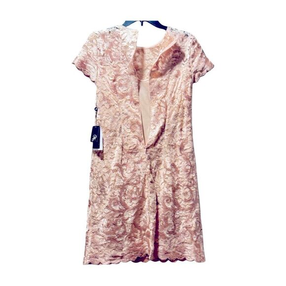 Adrianna Papell Women's Lace a Line Shift Dress Joyful Blush Wedding Lace dress - Picture 10 of 12